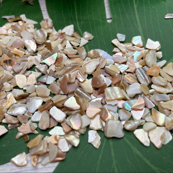 BULK Real Mother of Pearl & Abalone PCs crafting jewelry inlays beads mosaics… - Picture 8 of 16